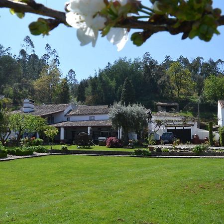 Quintal De Alem Do Ribeiro-Turismo Rural Lousã Esterno foto