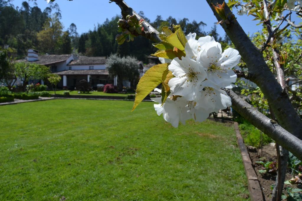 Quintal De Alem Do Ribeiro-Turismo Rural Lousã Esterno foto