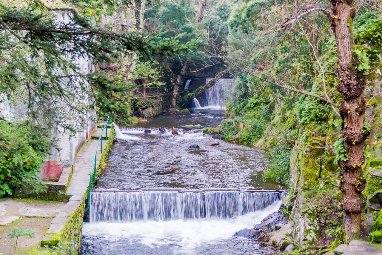 Quintal De Alem Do Ribeiro-Turismo Rural Lousã Esterno foto