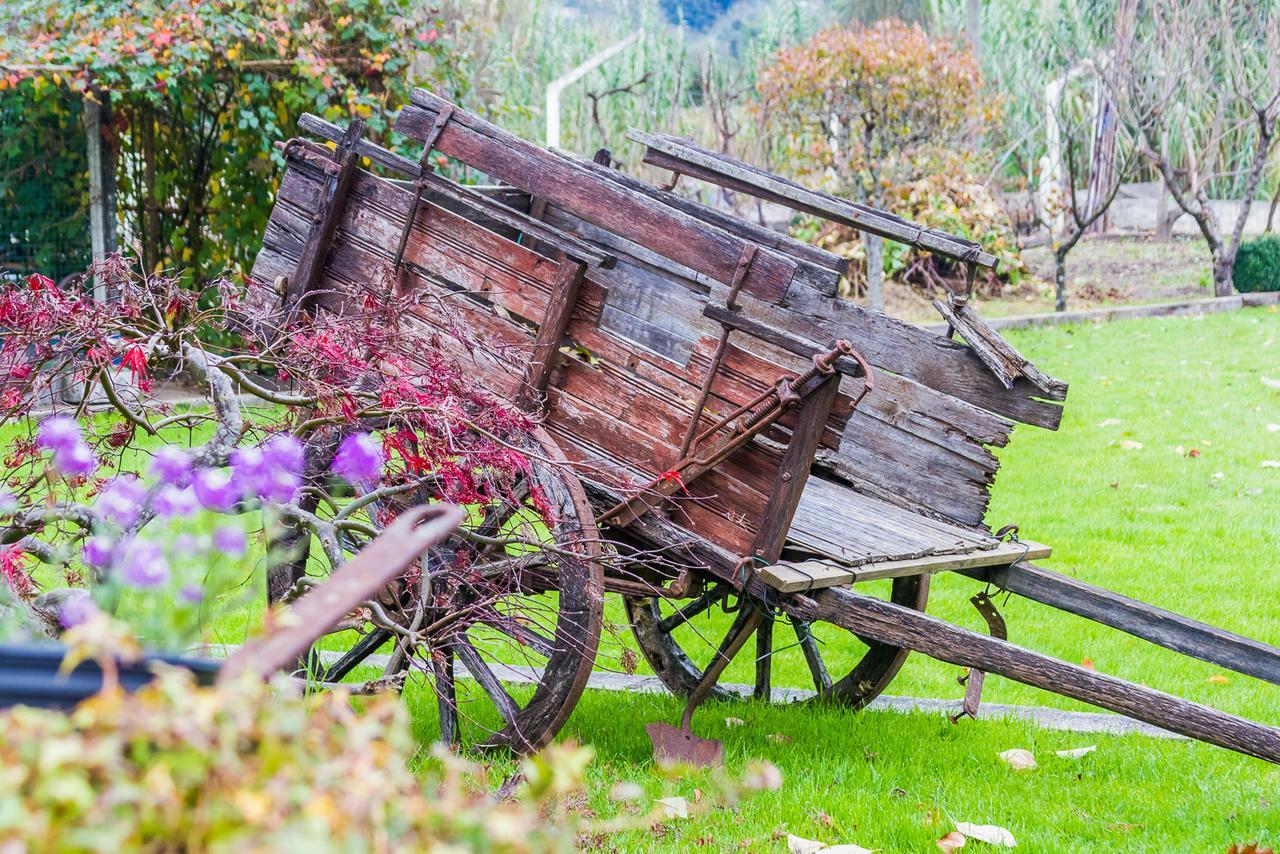 Quintal De Alem Do Ribeiro-Turismo Rural Lousã Esterno foto