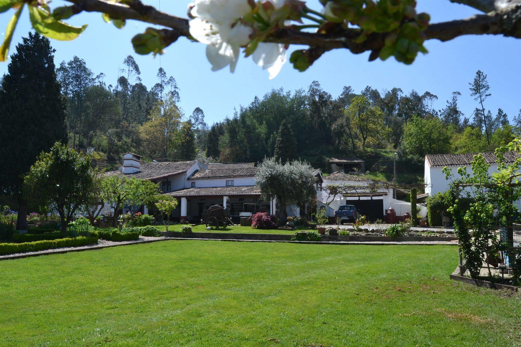 Quintal De Alem Do Ribeiro-Turismo Rural Lousã Esterno foto